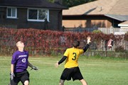 OTFL Gallery Image